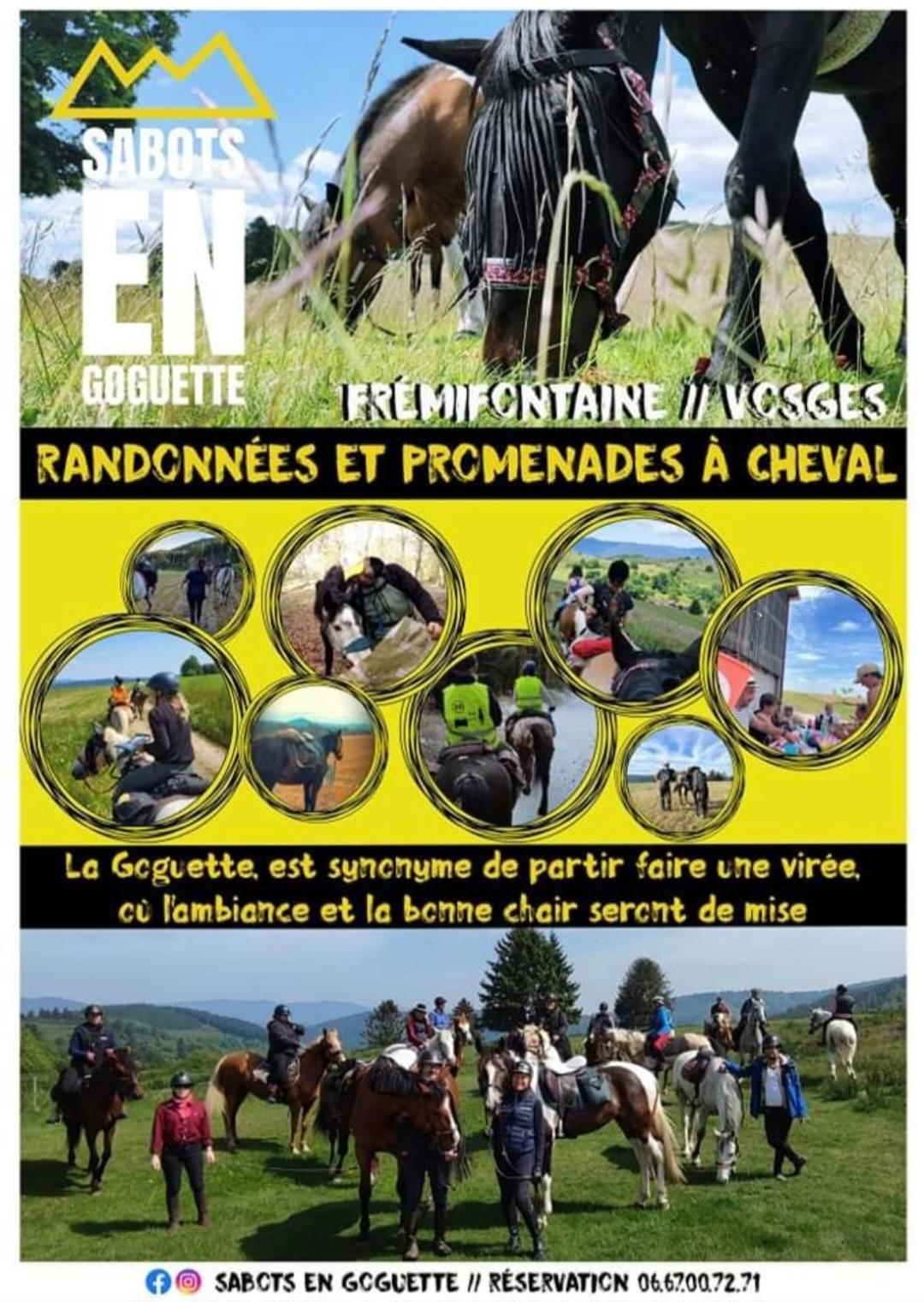 Les Vergers D'Epona "Fremifontaine Vosges" Eksteriør bilde