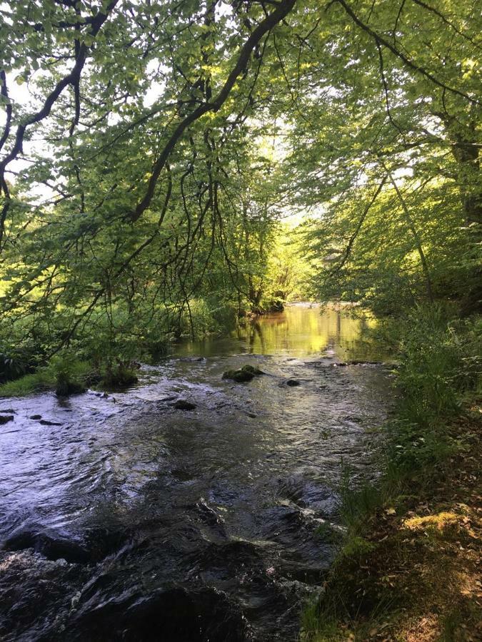 Les Vergers D'Epona "Fremifontaine Vosges" Eksteriør bilde